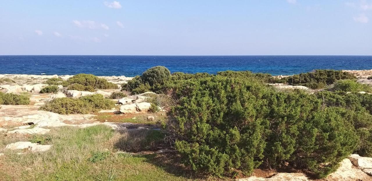 Mosaic Villa By The Sea Protaras Extérieur photo